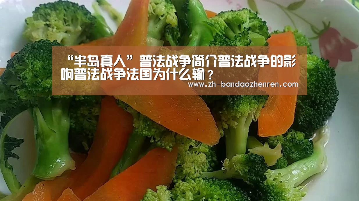“半岛真人”普法战争简介普法战争的影响普法战争法国为什么输?(图1) 半岛真人