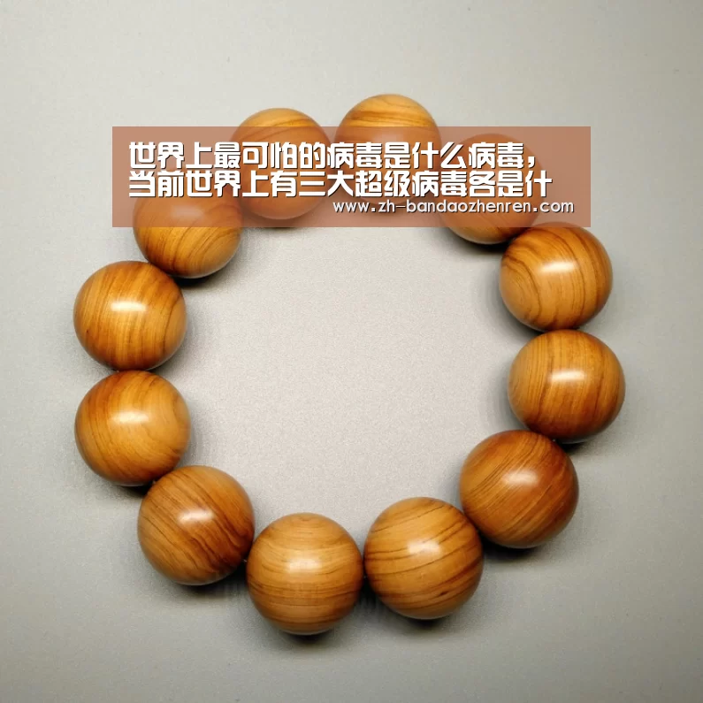 半岛真人
