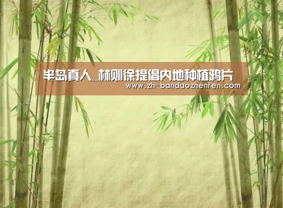 半岛真人_林则徐提倡内地种植鸦片