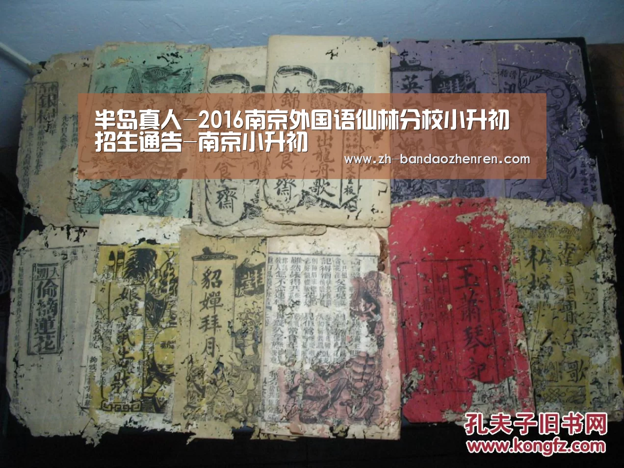 半岛真人-2016南京外国语仙林分校小升初招生通告-南京小升初(图3) 半岛真人