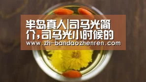 半岛真人|司马光简介,司马光小时候的故事(图3) 半岛真人