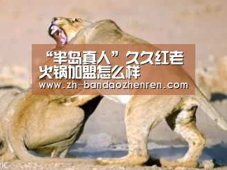 “半岛真人”久久红老火锅加盟怎么样(图3) 半岛真人