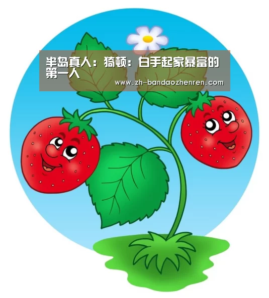 半岛真人