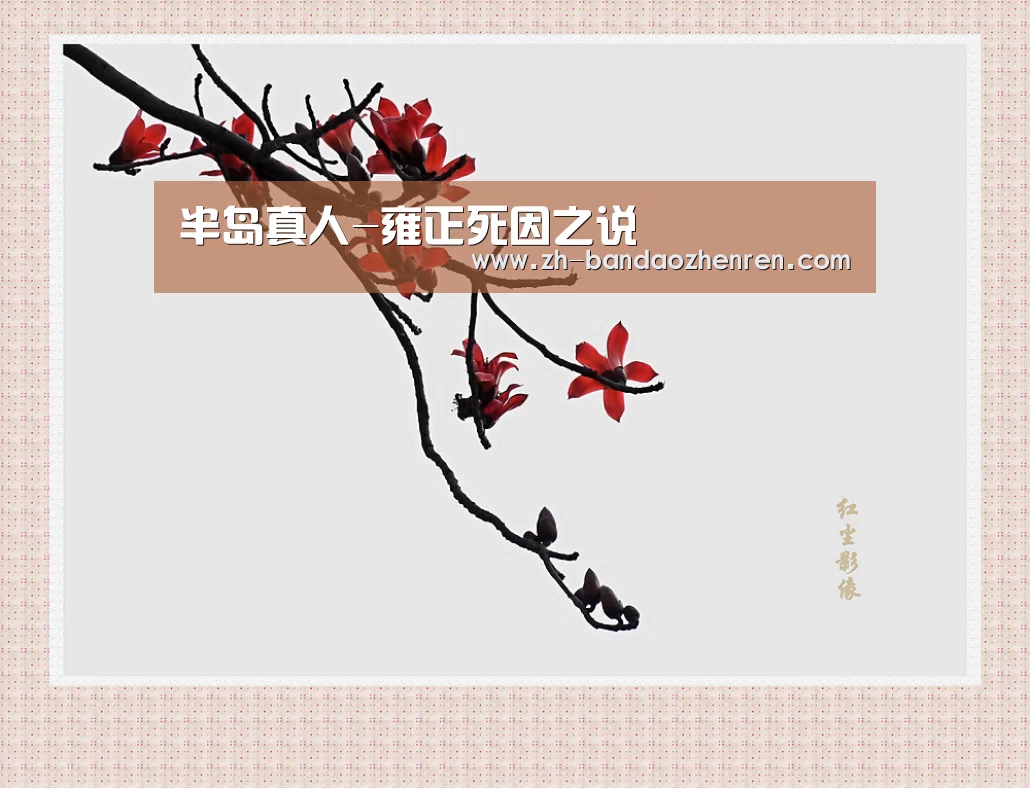 半岛真人-雍正死因之说(图2) 半岛真人