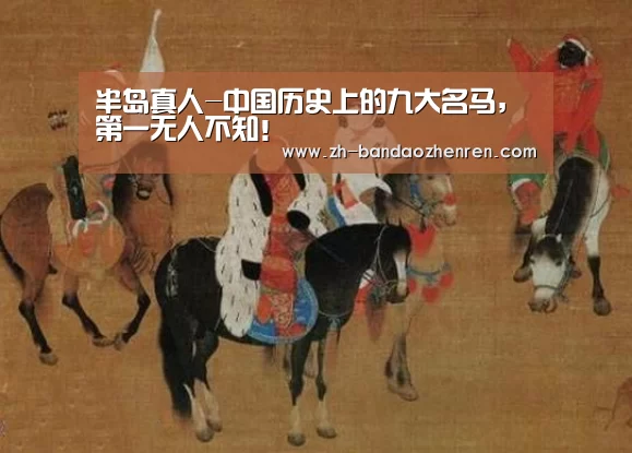 半岛真人